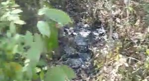 DLH Muaro Jambi Segera Panggil Pihak Pabrik Kelapa Sawit di Mestong, Evi : Cek Legalitas nya 