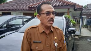 Harga TBS Kelapa  Sawit di Jambi Tak Kunjung Naik, Ini Jawaban Dinas Perkebunan