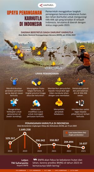 INFOGRAFIS: Upaya Penanganan Karhutla di Indonesia
