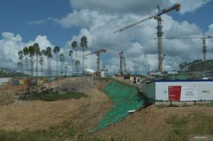 Pemerintah pastikan pembangunan IKN dukung pelestarian lingkungan