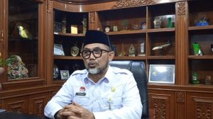 Harga Komoditi Pinang, Karet dan Sawit di Jambi Anjlok, Ini Penyebabnya