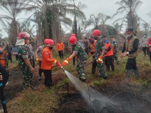Al Haris Sebut Luas Lahan Yang Terbakar di Jambi Mencapai 540 Hektare