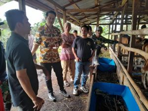 Lagi, Ihsan Yunus Salurkan Bantuan Puluhan Ekor Sapi ke Masyarakat