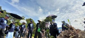 Air Untuk Perdamaian, BWSS VI Tanam 500 Pohon dan Biopori di Provinsi Jambi