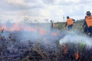 DPRD Antisipasi Karhutla di Musim Kemarau, Waka : Segera Buat SK Siaga Darurat 