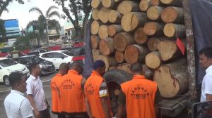 4 Orang Pelaku Ilegal Logging Diamankan Polisi