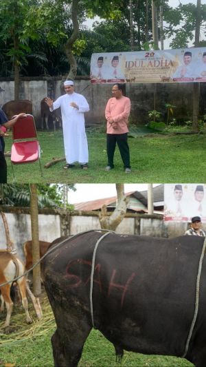 Jelang Idul Adha, SAH Minta Pemerintah Perhatikan  Kesehatan Hewan Kurban