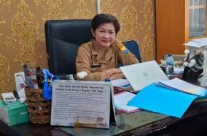 Dinkes Imbau Masyarakat Waspada DBD, Kenali Gejala Awal - Lakukan 3M Plus 