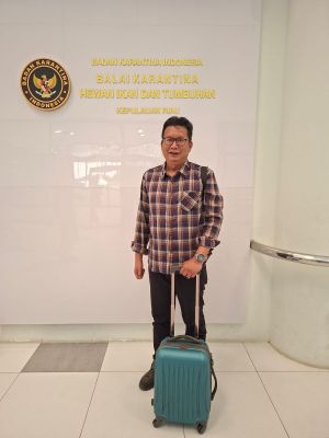 UMKM Penting, Tapi Belum Bisa Jadi Mesin Utama Kemajuan Kota Jambi