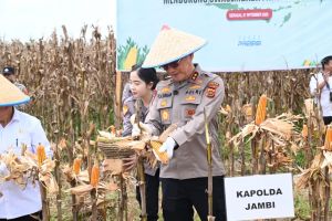 Kapolda Jambi Ikuti Panen Raya Jagung di Tanjabtim
