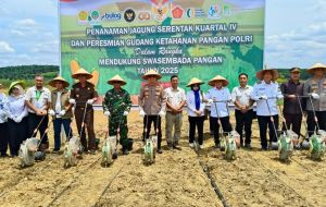 Gubernur Al Haris dan Kapolda Jambi Tanam Jagung Serentak Kuartal IV