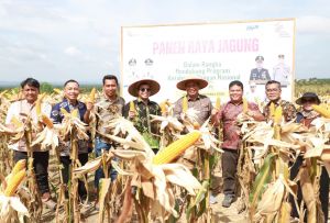 Wabup Katamso Tegaskan Komitmen Pemerintah Daerah Perkuat Swasembada Pangan