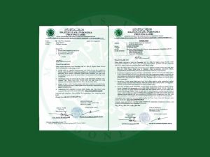 MUI Provinsi Jambi Ajak Masyarakat Jaga Kesantunan dan Toleransi Sambut Ramadhan 1447 H 