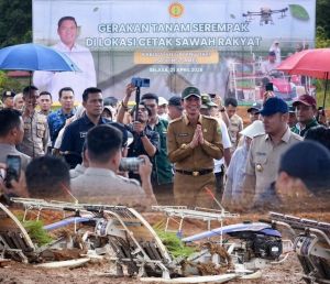 Wamentan dan Bupati Fadhil Arief Tanam Padi Serentak di Batang Hari, Targetkan 8 Ribu Hektar