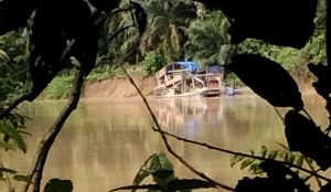 DPRD Provinsi Jambi Desak Polda dan Polres Tebo Tindak Tegas PETI di Sumay yang Kian Meresahkan