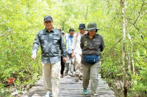 Wabup Tanjab Barat Sambut Tim Verifikasi Kementerian Kehutanan di Mangrove Pangkal Babu