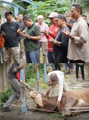Dinas PUTR Provinsi Jambi Sembelih Empat Hewan Kurban di Hari Raya Idul Adha 1447 H