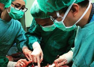 Waduh, Pria di Jambi Nekat Potong Alat Kelamin hingga Dilarikan ke RSUD Raden Mattaher