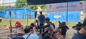 Wujud Kekompakan & Kepedulian, Manajemen - Nakes RSUD Raden Mattaher Jambi Sembelih 6 Hewan Kurban