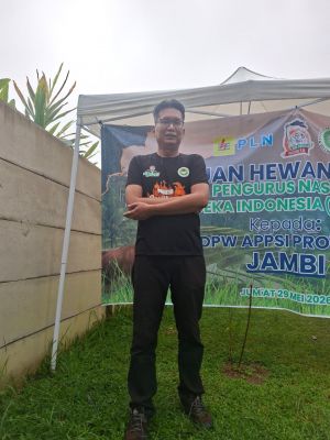 Harga Sawit Jambi Mulai Pulih, Ketegasan Pemerintah Dinilai Jadi Kunci