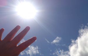 Masuk Awal Musim Kemarau, Suhu di Jambi 33,9°C : BMKG Ingatkan Potensi Karhutla