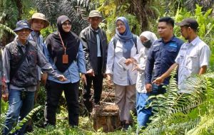 Tim Kuasa Hukum Bantah Rumor Pembatalan 105 SHM di Muaro Jambi