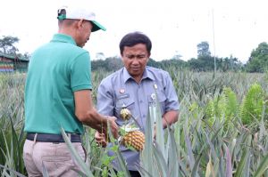 Kanwil Kemenkum Jambi Turun Tangan Dorong Desa Tangkit Baru Jadi Destinasi IG Tourism