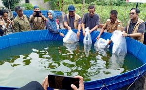 Sulap Lahan Sempit Jadi Cuan, Bioflok Pertamina EP Jambi Sukses Dongkrak Ekonomi Warga