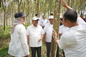 SAH Tinjau Lokasi Penghapusbukuan Aset untuk Dukung Pembangunan SUTET Listrik PLN