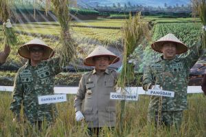 Gubernur Al Haris Hadiri Panen Raya TNI di Desa Kota Baru Geragai, Dukung Ketahanan Pangan