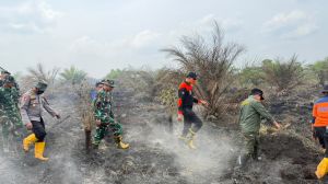 Kapolda Jambi Pastikan Penanganan Karhutla di Sungai Gelam Terus Dilakukan, Sinergi TNI-Polri dan BP
