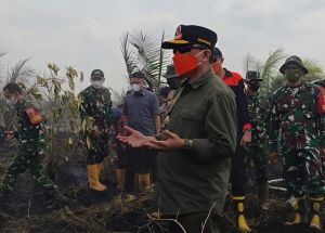 Gubernur Al Haris Serukan Salat Istisqa di Tengah Karhutla  