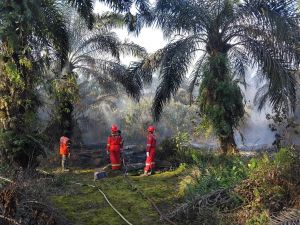PetroChina Bantu Padamkan Karhutla di Jambi