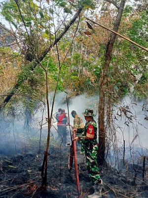 Karhutla di Wilayah Koramil 416-06/MB Berhasil Dipadamkan, Situasi Aman dan Kondusif