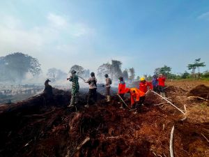 Polri-TNI dan Pamhut di Jambi Gencarkan Patroli Cegah Karhutla 
