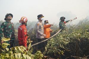 Kemarin, Gubernur, Danrem hingga Kapolda Jambi Padami Karhutla di Tanjabtim
