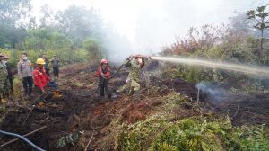 Kemarin : Danrem 042/Gapu dan Tim Gabungan Turun Padamkan Karhutla di Londerang