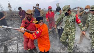 Kemarin, Gubernur Al Haris Turun ke Lokasi Karhutla 28 HA di Puding Muaro Jambi