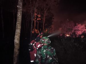 Kebakaran di Pematang Gajah Muaro Jambi Berhasil Dipadamkan, 4 HA Lahan Hangus!