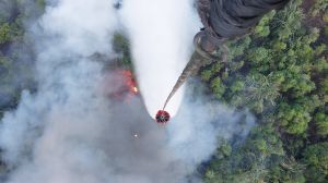 Kualitas Udara Sangat Tidak Sehat : Wali Kota Jambi Perpanjang PJJ hingga 9 September