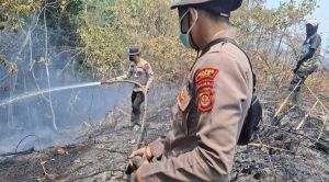 Polda Jambi Tangani 75 Kasus Karhutla, 14 Orang Jadi Tersangka