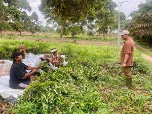 Hujan Mulai Mengguyur Jambi, SAH Ajak Petani Bersyukur dan Kembali Optimistis